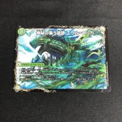 神秘の集う遺跡