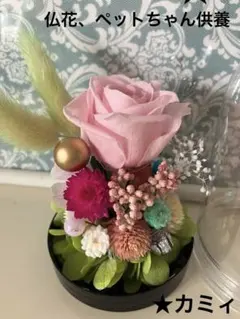 華やかバラの切花セット 生花 ネコポス - メルカリ