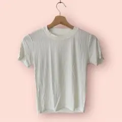 新品未使用✨Tシャツ 半袖 リブ 着痩せ 丸首 Mサイズ 白