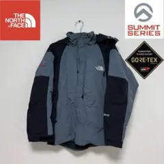 ドルフィン様専用ノースフェイス ナイロンジャケット ゴアテックス メンズM