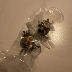 おすわりマスコット　こびと図鑑