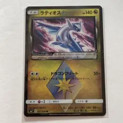 まとめ買い歓迎　ティラノサウルス様 リクエスト 2点 まとめ商品