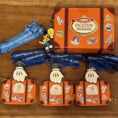 TDRバケーションパッケージ 35周年 パスケース ポップコーンバケット セット