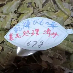말린 비파잎, 향 좋음, 양털 가공, 무농약, 나가사키현산, 67g