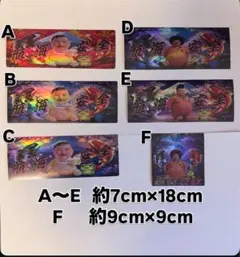 ピットブルオリジナルステッカー オーロラ6種セット