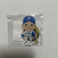 玉井大翔　アクスタのサムネイル