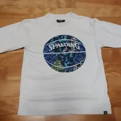 Item thumbnail for item b68edd1e-673e-4439-954b-45b6699e8115