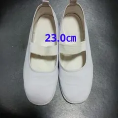 Item thumbnail for item 039c7577-6678-466c-902b-f1f238cd4146