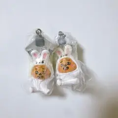 Stray Kids SKZOO つまんでつなげてますこっと vol.2 ハン