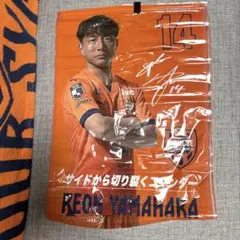 Item thumbnail for item 8b626b2f-141e-4192-b84b-9ac2207c94d4