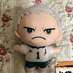 青根高伸 みにコレ！ぬいぐるみマスコット3 「ハイキュー!!」