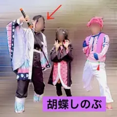【即日発送可】鬼滅の刃 胡蝶しのぶ コスプレ衣装・大人用Мサイズ 刀つき