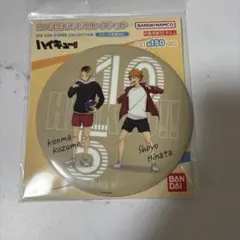 ハイキュー!! BIG缶バッジコレクション