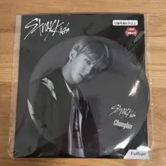 straykids スキズ チャンビン BIG缶バッジ