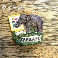 スイスイ!フィジー!ぼうけんマグネット 海の中でみんなと遊ぼう