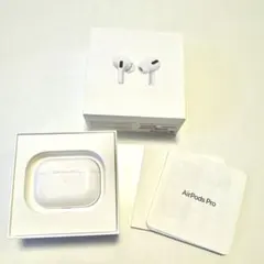 箱説明書付き片耳✨Apple AirPods Pro 第1世代 左耳のみ 純正