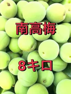 鶯宿 青梅 大中小混合 8kg 無農薬 岡山県産 農家直送 - メルカリ