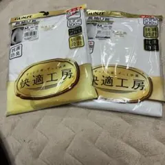 グンゼGUNZE 快適工房 Mサイズ Tシャツ 2枚セット