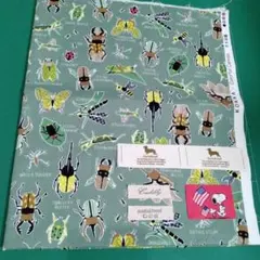 KOKKA✖CoIorfuI Canvas ＆　タグ