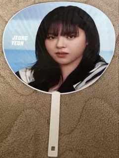 TWICE READY TO BE SPECIAL うちわ ジョンヨン