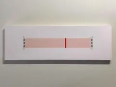 【新品】純正 アップルウォッチ 41mm スポーツループ・ライトピンク②