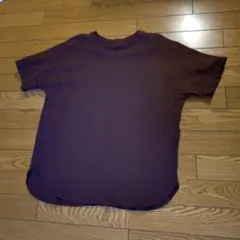 ANY anysis ティシャツ　カットソー　ブラウン　 L