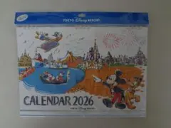 B カレンダー壁掛け2026 東京ディズニーリゾート