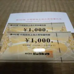 株主優待 ビックカメラ＋α