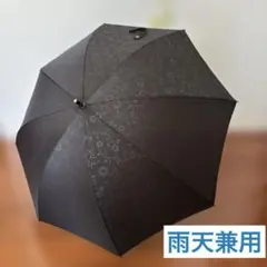 Item thumbnail for item 35535191-968f-49b9-9c13-383669aaa75d