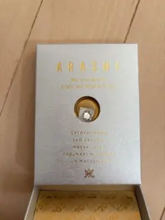 嵐 Anniversery Tour 5×20 スワロフスキー【シルバー】