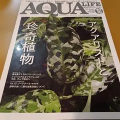 月刊アクアライフ 2022年10月号 珍奇植物特集