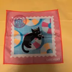ベローチェ 黒ねこ　ハンドタオル 第2弾　ピンク