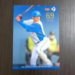 2025年最新】吉本実憂の人気アイテム - メルカリ