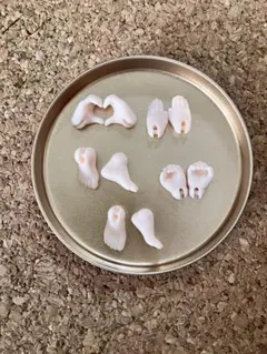 Item thumbnail for item a2aea0ad-fc7d-48cb-8ca7-c1f7cc472ad7