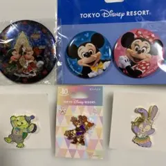 東京ディズニーリゾート 缶バッジセット　新品