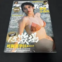 週刊プレイボーイ 2016年 No.48 吉岡里帆 馬場ふみか 大沢ひかる