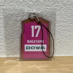 秋田ノーザンハピネッツ来場者限定グッズ