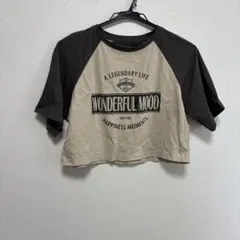 ショート丈Tシャツ