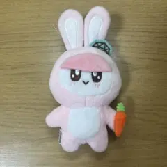 2025年最新】seventeen ボンボンイ うさぎの人気アイテム - メルカリ