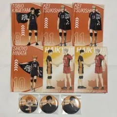 ハイキュープラザ購入特典ポストカード日向翔陽　影山飛雄月島蛍アニメイト購入特典