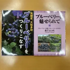 mirakawa様 リクエスト 4点 まとめ商品
