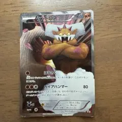ポケカ　ランドロス