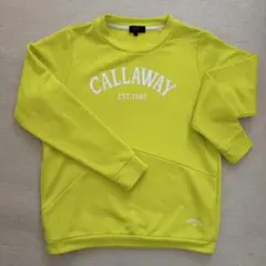 Item thumbnail for item f596187d-bd30-47c6-87b4-3539a09b33d0