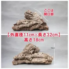 W687 ポルトガル産 キャノンコルク コルク樹皮 コルク板 バージン
