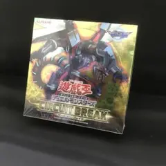 2025年最新】サーキット・ブレイクの人気アイテム - メルカリ