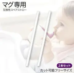 スペアストロー 2本セット 替えストロー マグ bbox互換 新品未使用のサムネイル