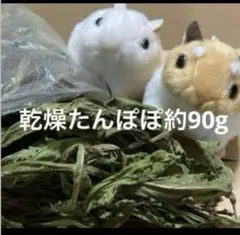 Item thumbnail for item 3f27d56a-6da9-481a-a081-df333f5d1a22