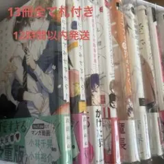 BLまとめ売り 13冊