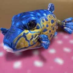 さかなクン プロデュース おさかなぬいぐるみ ハコフグ オス ワイルド