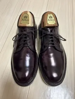 【新品/純正ツリー付】Alden 990 コードバン プレーントゥ 6.5Dのサムネイル